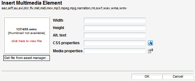 Insert multimedia element